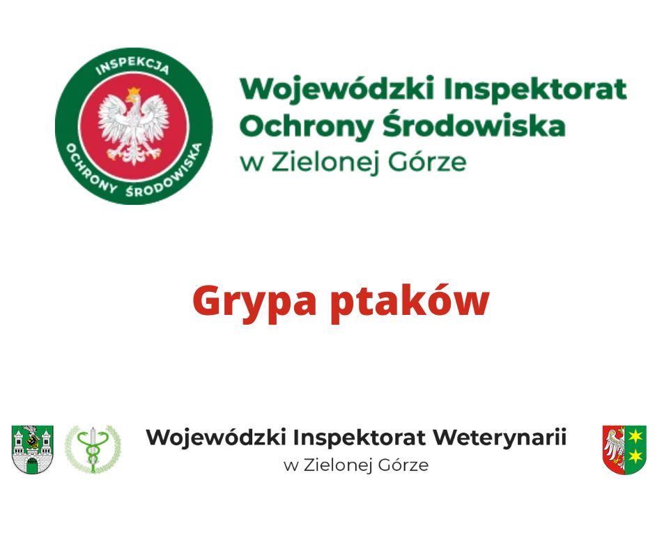 Grypa ptaków - informacja Wojewódzkiego Inspektoratu Weterynarii w Zielonej Górze