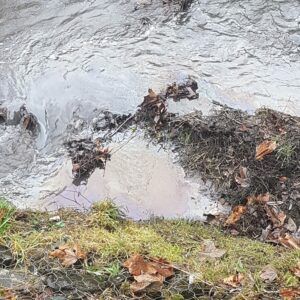 zanieczyszczenie wody kanału Gęśnika